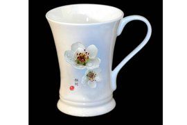 DSA介入融通療法 DSA介入融通療法