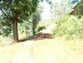 小米郎自然村 小米郎自然村