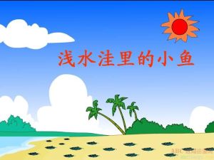 淺水窪里的小魚 淺水窪里的小魚