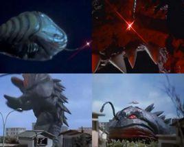 圓盤生物 圓盤生物