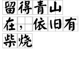 留得青山在，依舊有柴燒