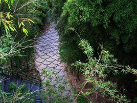 中國十大竹鄉 中國十大竹鄉