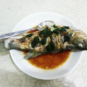 薄荷鱸魚 薄荷鱸魚