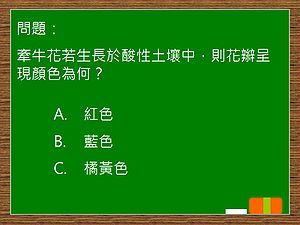 模擬選擇題畫面