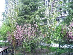 濰坊市人民公園