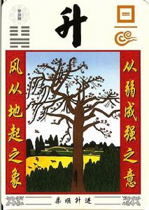 柔順謙虛 積小成大之象　拼搏得益之意