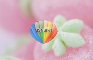 msn shell