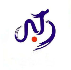 南庭（中國）集團股份有限公司