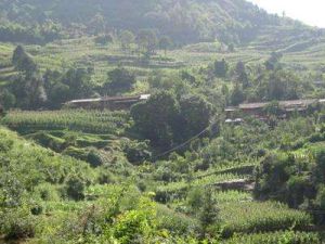 小箐腦包自然村 小箐腦包自然村