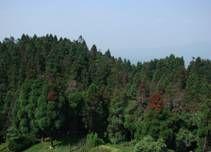 玉屏山森林度假村 玉屏山森林度假村