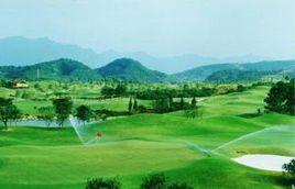 高爾夫標準球場