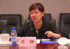 齊靜[西安工程大學教師]