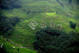 紅河哈尼梯田申遺 紅河哈尼梯田申遺