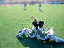 寒椏蔓草 寒椏蔓草