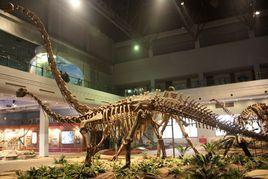 恐龍之鄉 恐龍之鄉