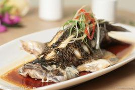 清蒸福壽魚 清蒸福壽魚