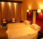 烏魯木齊博爾塔拉大酒店 烏魯木齊博爾塔拉大酒店