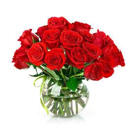 紅玫瑰[花卉名稱]