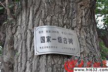 傅相祠[山東省棗莊市]