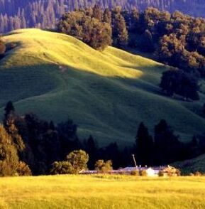 唐布拉國家森林公園 唐布拉國家森林公園