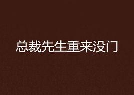 總裁先生重來沒門 總裁先生重來沒門
