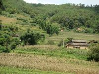 畢家窪自然村 畢家窪自然村