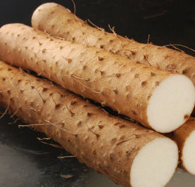 葵花子煎茯苓 葵花子煎茯苓