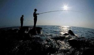 千島湖釣魚島 千島湖釣魚島