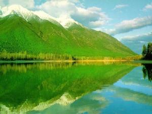 圖解成本一日通 圖解成本一日通