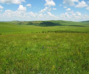 大青山自然保護區