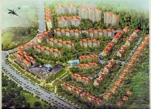 金色半島 金色半島