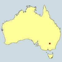 澳大利亞格里菲斯市 澳大利亞格里菲斯市