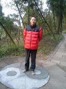 楊小平[西華師範大學文學院教授]