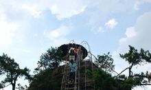 張家界自助游攻略