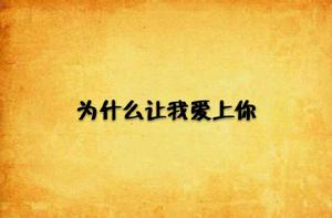 為什麼讓我愛上你 為什麼讓我愛上你