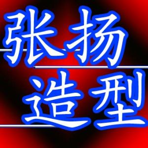 張揚造型 張揚造型