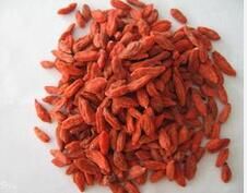 橘紅覆盆子 橘紅覆盆子