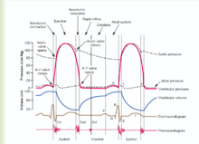 心動周期中各部壓力變化以及心音心電圖