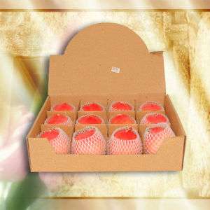 泰興市奧凱工藝玩具廠