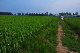 上油崗鄉 上油崗鄉