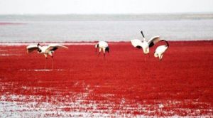 紅海旅遊區 紅海旅遊區