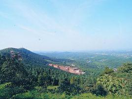 井龍街道 井龍街道