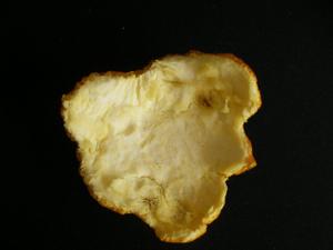 橙子皮