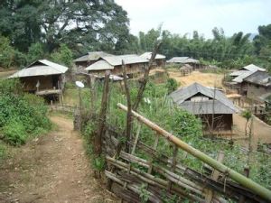 班莫上寨自然村 班莫上寨自然村