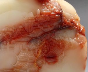 莫愁湖岸林立的樓閣倒影水中，如夢如幻