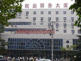 石家莊市勞動就業服務局 石家莊市勞動就業服務局