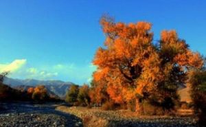 鄂托克賽爾天泉景區 鄂托克賽爾天泉景區