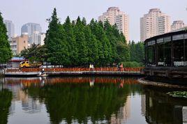 塘橋公園 塘橋公園
