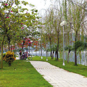 增城綠道 增城綠道