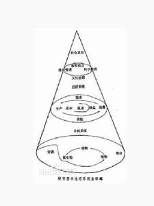 城市道路 城市道路